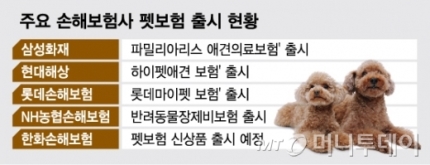 한화손보·농협손보도 가세, 판 커지는 '펫보험' 시장 한화손보·농협손보도 가세, 판 커지는 '펫보험' 시장