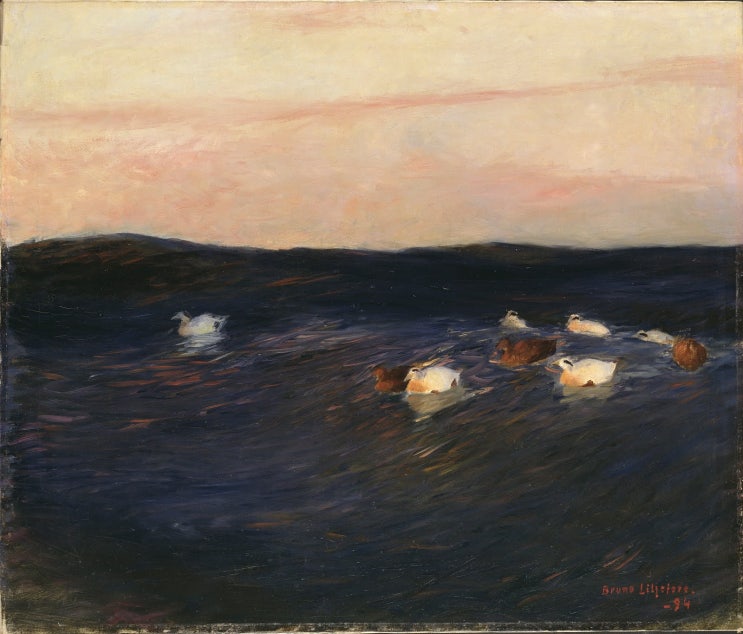 Bruno Liljefors - Eider Ducks, 1894