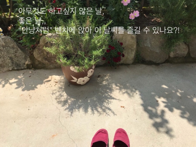  아무것도 하지않아도 좋을만큼 좋은날씨, 순천게스트하우스 그꽃길입니다