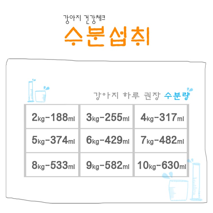  강아지 소소한 건강체크_수분섭취