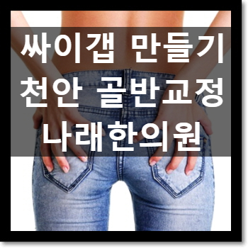 천안골반교정 C칼럼001 : 싸이갭을 추나요법으로 얻는 방법에 대하여 : 신부동 나래한의원