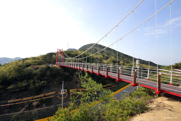  덕적도 여행 소소한 봄 풍경(출렁다리)