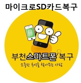 128GB 이동식디스크 SD카드 데이터복구
