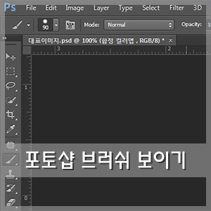  포토샵 브러쉬 보이기 :: 브러쉬 모양 안 보일 때