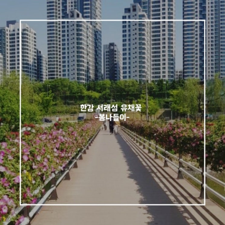 서울 여행~ 꽃구경을 가고 싶다면?!!