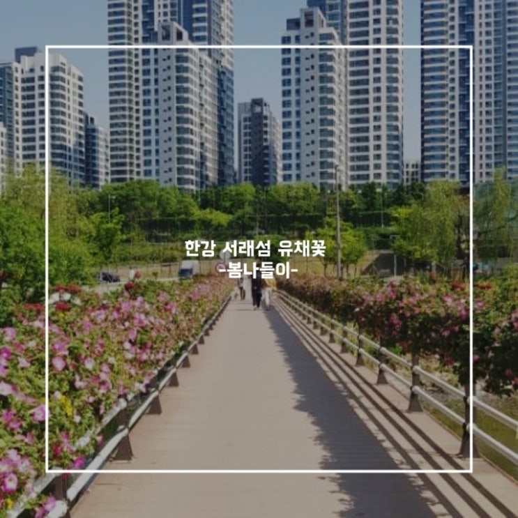 서울 여행~ 꽃구경을 가고 싶다면?!! 서울 여행~ 꽃구경을 가고 싶다면?!!