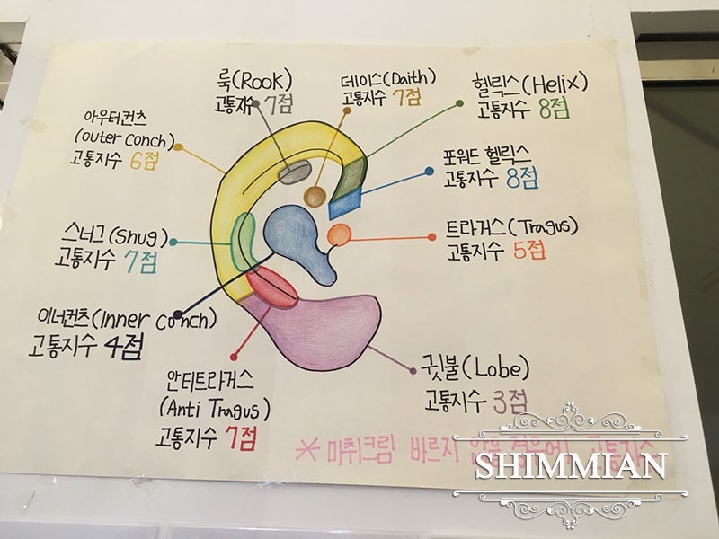 귀 뚫는 위치별 고통지수 알아보기 : 네이버 블로그 귀 뚫는 위치별 고통지수 알아보기 : 네이버 블로그