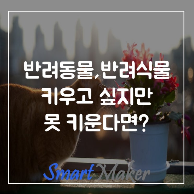  반려동물, 반려식물 키우고 싶지만 못 키운다면?