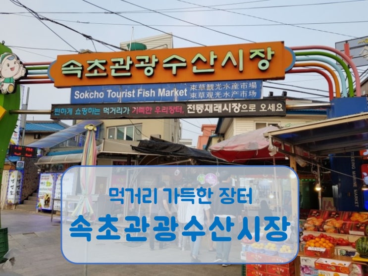  속초관광수산시장 먹거리 가득한 속초전통재래시장