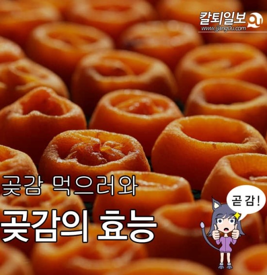  곶감의효능