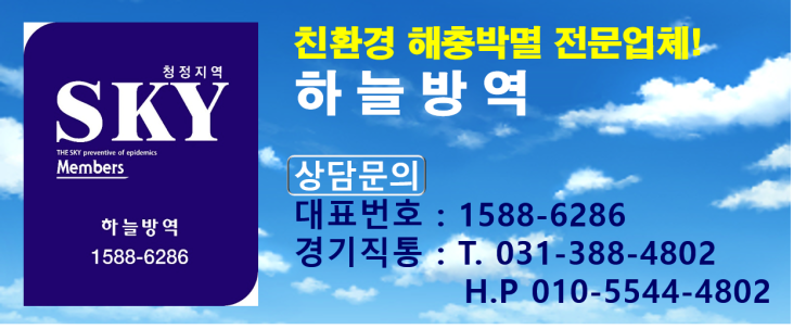  군포바퀴벌레 안양바퀴벌레 의왕바퀴벌레 바퀴벌레퇴치 바퀴벌레잘 잡는곳 해충퇴치 하늘방역 경기지사