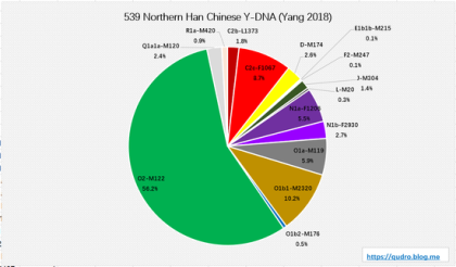 중국인의 플루크 다이어그램