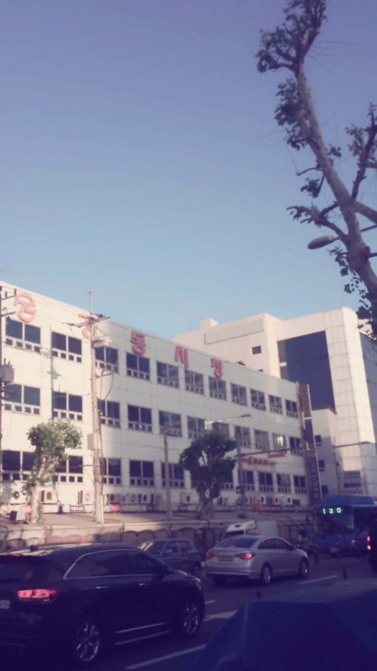  경동시장에서 소고기 가자미찜 명이나물 창란젖 술한상 평범한하루