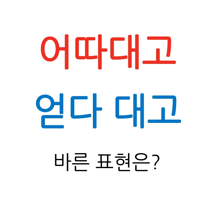  어따대고 얻다 대고 바른 표현은