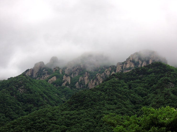 대둔산, 계곡의  꽃을 찾아서~ (2020.3.28)