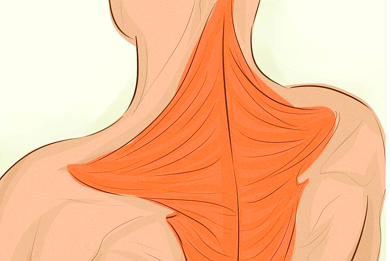 뒷목 통증/목 근육뭉침 푸는 운동과 스트레칭 : 네이버 블로그 뒷목 통증/목 근육뭉침 푸는 운동과 스트레칭 : 네이버 블로그