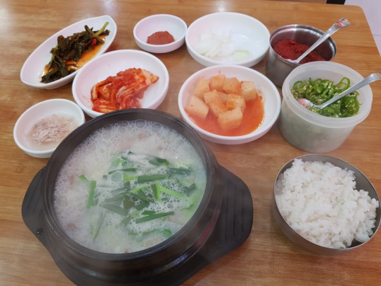  건대입구역 국밥 맛집, 고돌이