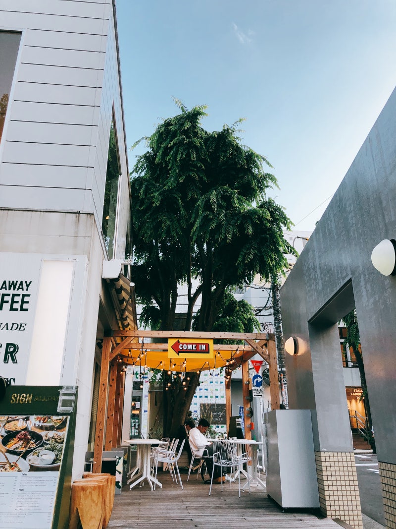 여행이야기] 도쿄 여행기 - 시아와세노팬케이크,오모테산도,다이칸야마,츠타야서점 - The Stylist/더 스타일리스트/여행 : 네이버  블로그