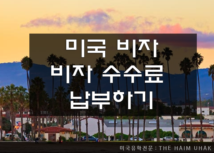 미국 비이민 비자의 주요 카테고리 정리 10