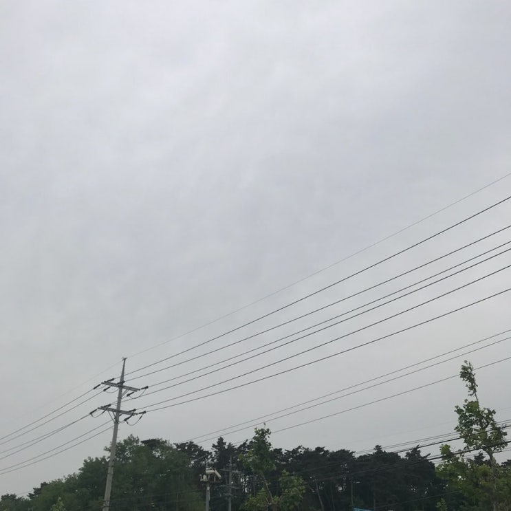  프렌즈샵, 강릉에 있는 고물상 중에서 제일로 잘 나가는 고물상 미소자원산업(구.포남고물상)