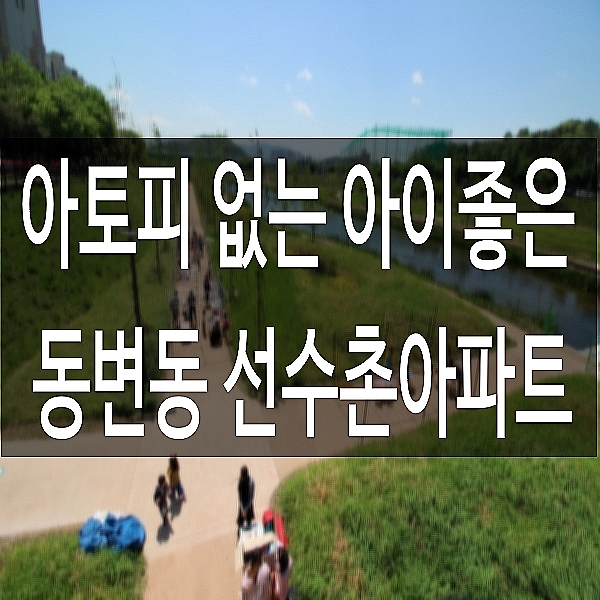 대구동변동아파트 유니버시아드 선수촌2단지 31평 급매