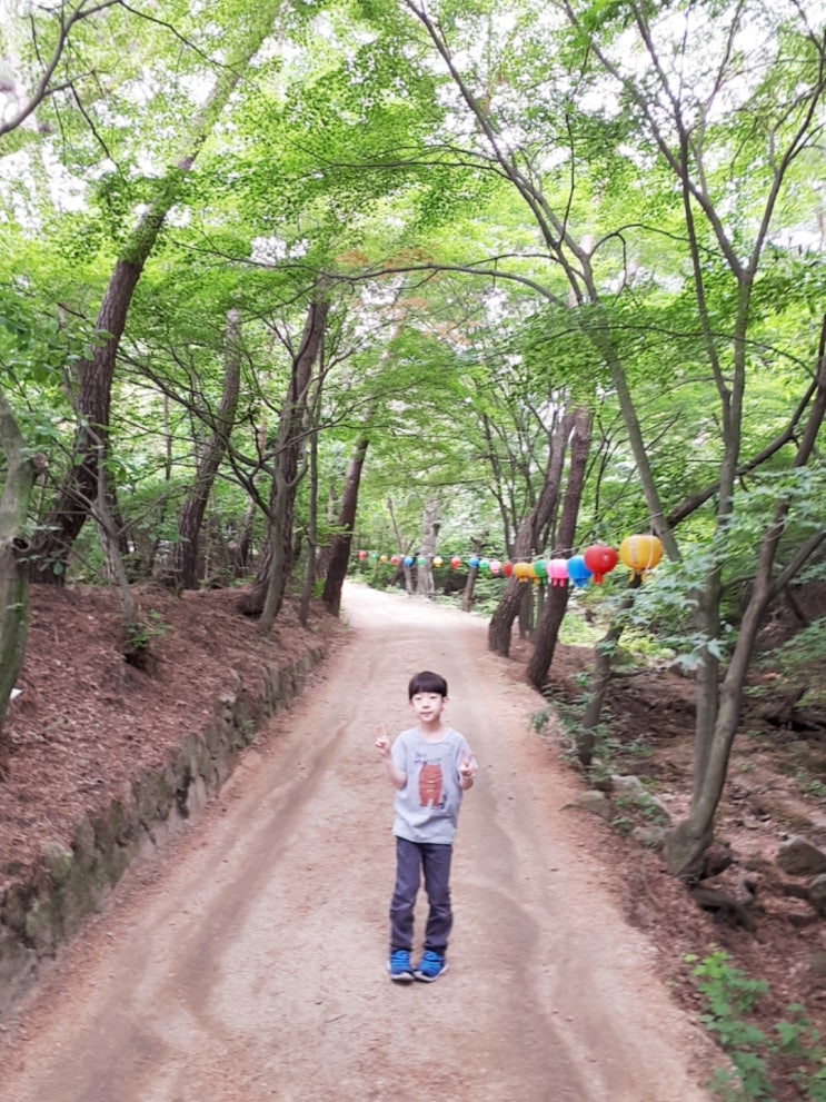  부처님 오신날 - 옥룡암, 무량사