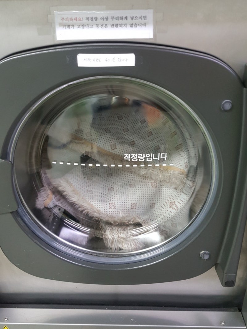 거실 러그 세탁, 크린토피아 셀프 빨래 정말 굿!