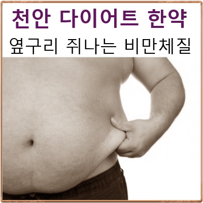  천안다이어트한약 C칼럼013 : 살쪘더니 옆구리에 쥐가 자꾸 난다.