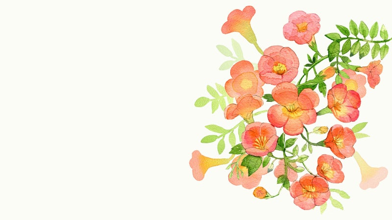 능소화 여름꽃 수채화 컴퓨터 배경화면 핸드폰 배경화면 네이버 블로그