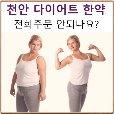  천안다이어트한약 C칼럼014 : 그냥 감비환 택배로 보내주시면 안될까요?