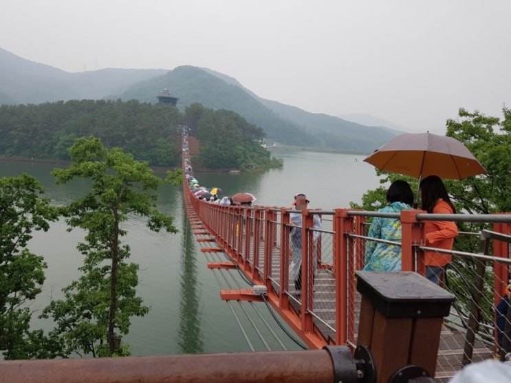  비오는날 마장호수 출렁다리~