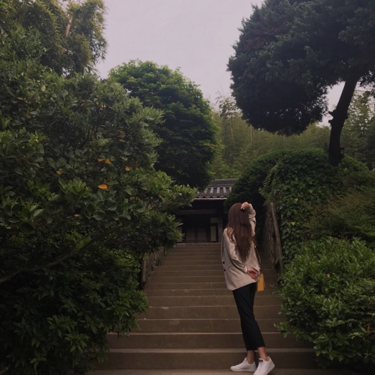 부산여행 : 부산 산장식당_오리백숙 / 아홉산 숲 / 수변공원 부산여행 : 부산 산장식당_오리백숙 / 아홉산 숲 / 수변공원