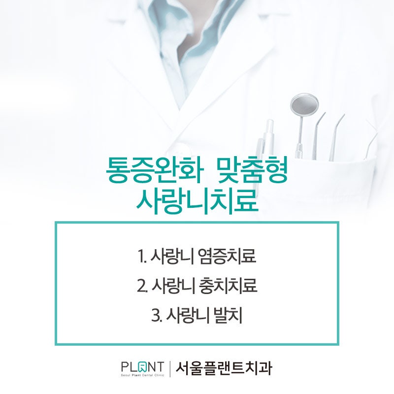 역촌동사랑니, 경험 많은