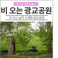  [수원가볼만한곳] 비 오는 날의 수채화 풍경이 있는 광교공원 
