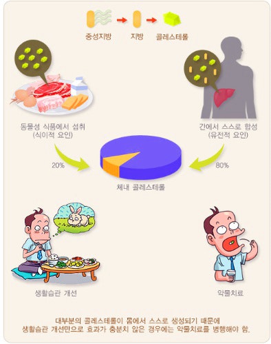 고지혈증에 좋은 음식 이거 골라보세요!