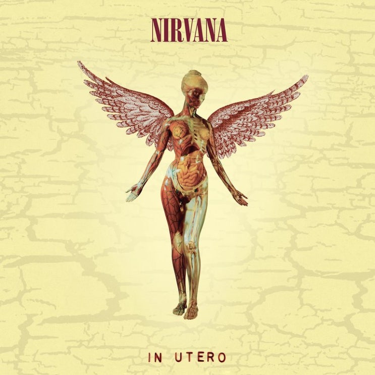  Heart shaped box-Nirvana