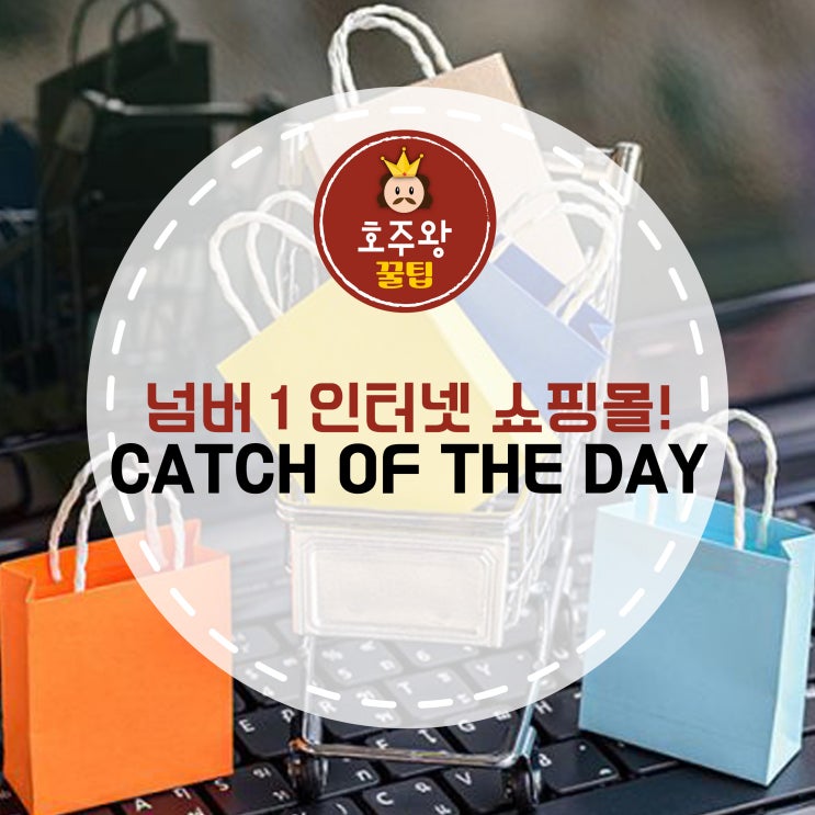  호주 넘버 원 인터넷 쇼핑몰 Catch of the Day