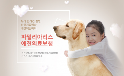 반려동물 1000만 시대…펫보험, 집사 마음 못 잡은 이유 반려동물 1000만 시대…펫보험, 집사 마음 못 잡은 이유