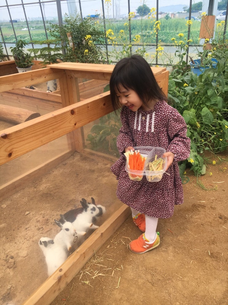 인천부천 아이와 소풍 가볼만한 장소 부천 대장동 나눔농장 부천동물농장체험
