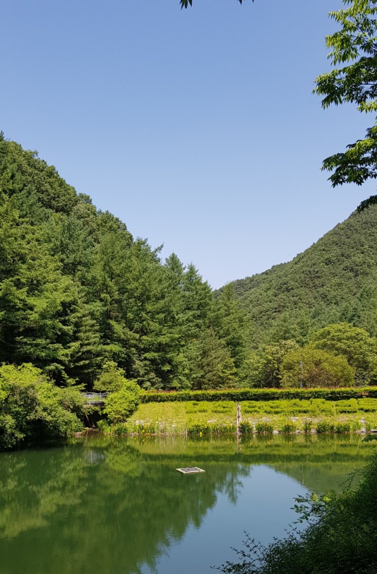  산속의물, 산속의꽃, 물속의 산,물속의 꽃