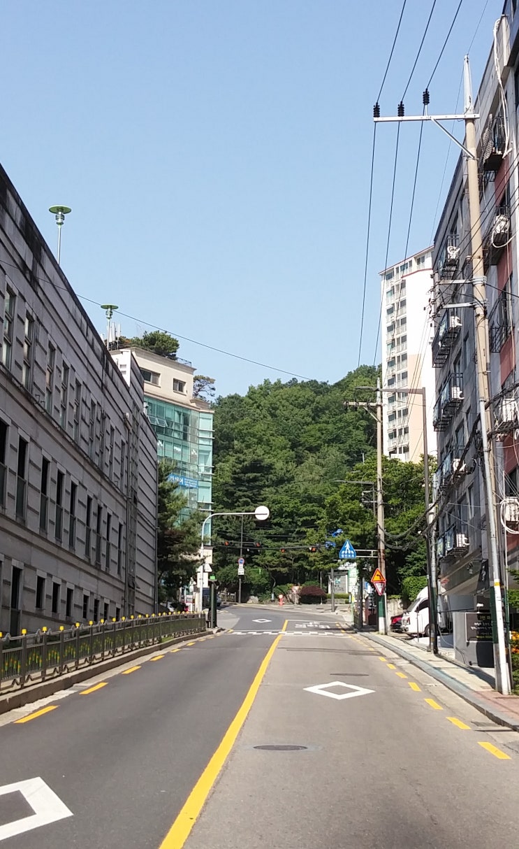  이명증 해소에도 도움을 주는 산림욕