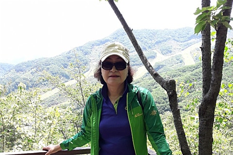 하담전 이미지