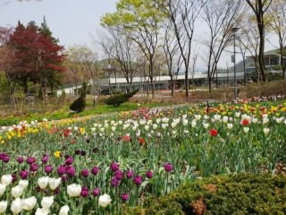  그의 기이한 행적(시 96:3)