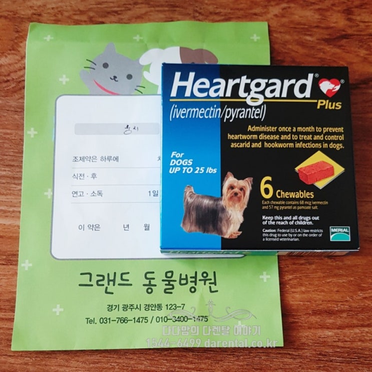  강아지 구충제 심장사상충 하트가드 먹는주기