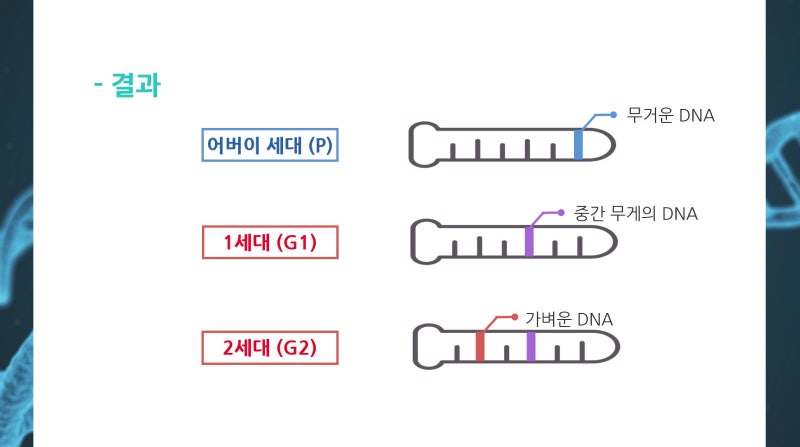 무료 Ppt 템플릿 다운 Dna 과학 발표 네이버 블로그