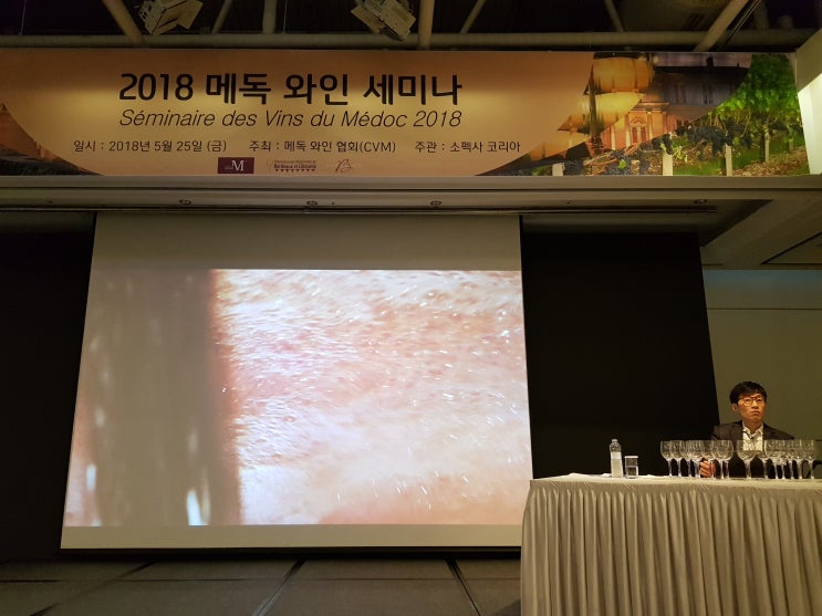 2018 메독 와인 세미나 (1) by 소펙사 코리아 & 메독 와인 협회(CVM) @ 밀레니엄 서울 힐튼 아트리움