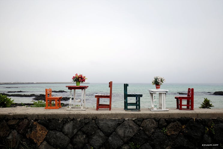 제주도 사진 찍기 좋은 곳 - 하도, 세화해변 제주도 사진 찍기 좋은 곳 - 하도, 세화해변