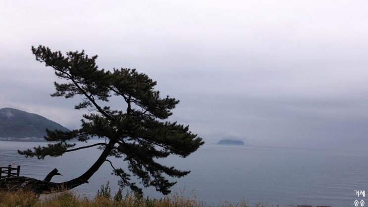 흐린날의 거제 학동 풍경 - 거제송송