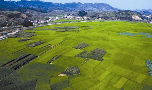  부동산 투자에 앞서 조심해야할 부분들 혹은 남들은 아는데 나는 모르는 포인트와 기초지식.