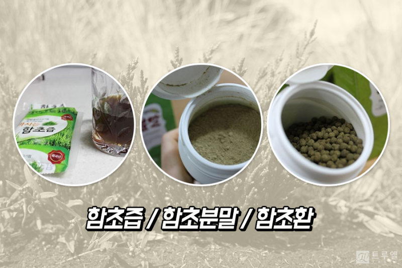 변비직판확실한방법을찾으면 3